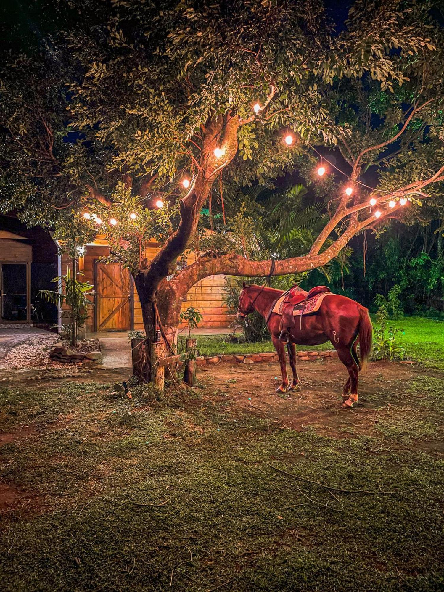 Tierra Buena Countryside Hotel Monteverde Zewnętrze zdjęcie